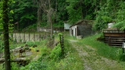 PICTURES/Keymoor Trail - New River Gorge/t_Heading Toward Stairs1.JPG